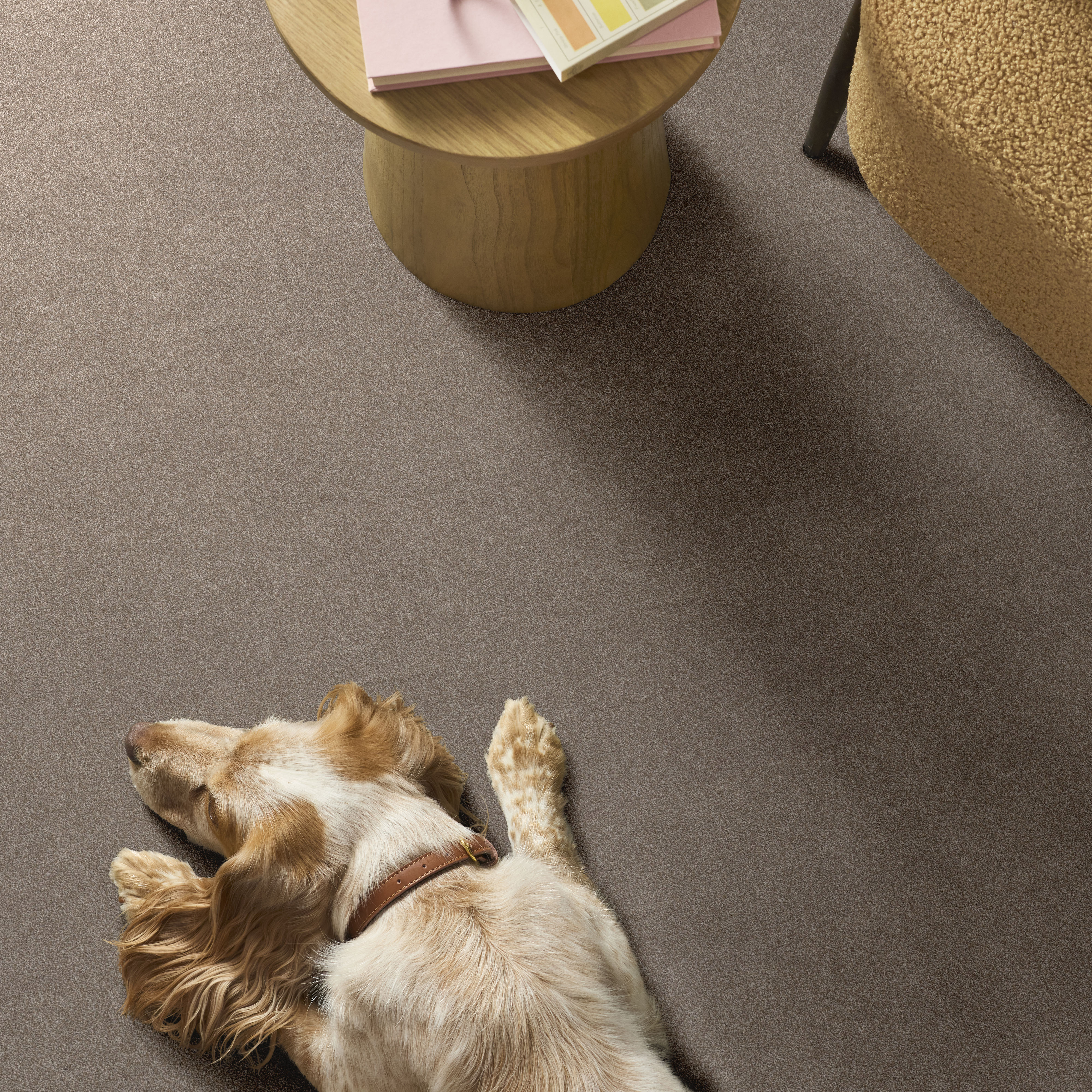 Vivid Touch Ii - Mocha Carpet | Shaw Floors